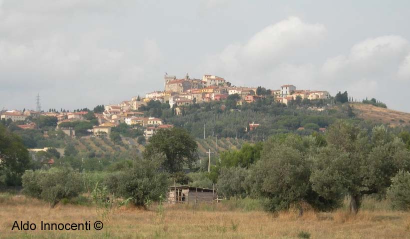 VEDUTA PANORAMICA DI ROSIGNANO MARITTIMO